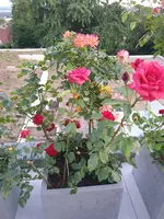 20220622_215843.webp