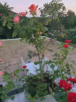 20220622_215854.webp