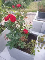20220622_215857.webp