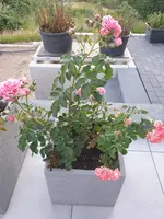 20220622_215901.webp