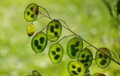 2022smn04.jpg 2022smn04.jpg