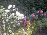 20220619_103851.webp
