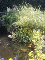 20220619_103759.webp