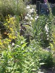 20220619_103748.jpg
