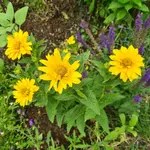 20220623_061002.webp