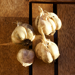 knoblauch.webp