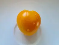 20220623_103039.jpg