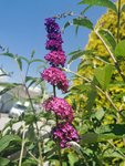 IMG_20220623_115543.jpg