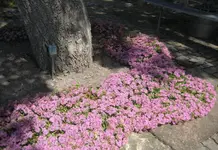 IMG_0098.webp