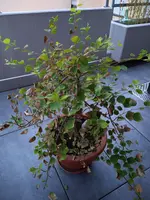 IMG_20220623_212831722.webp