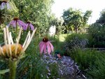 DSCN3820.JPG