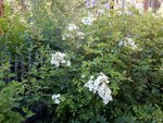DSCN3821.JPG