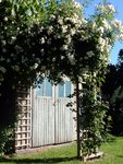 DSCN3823.JPG