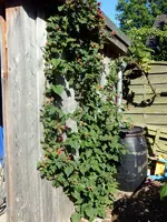 DSCN3824.webp