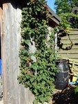 DSCN3824.JPG