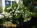 DSC02532.JPG