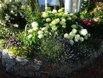 DSC02534.JPG