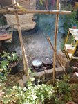 IMG_20220623_192753.jpg