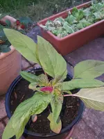 20220623_205605.jpg