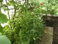 BILD0002.webp