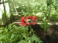 BILD0003.webp