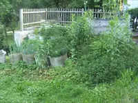 BILD0025.webp