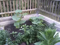 BILD0032.webp