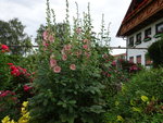 DSC02551.JPG