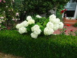 DSC02545.JPG