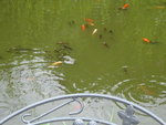 DSC02549.JPG