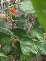 20220624_064838.webp