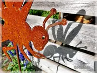 Licht und Schatten.webp