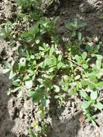 IMG_20220618_110840.webp