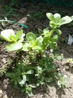 IMG_20220618_110845.webp