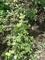 IMG_20220625_104712.webp