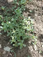 IMG_20220625_104645.webp