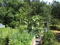 BILD0069.webp
