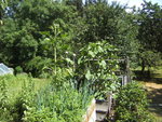 BILD0069.JPG