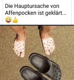 69BC839F-AFED-4376-A061-E74E1ACBF3B6.webp