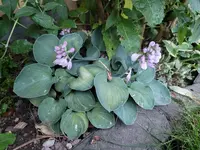 20220625_211735.webp