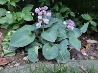 20220625_211639.webp