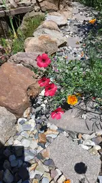 20220625_143504.webp