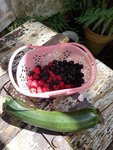 IMG_20220625_154129.jpg