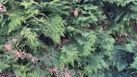 20220625_202130.jpg 20220625_202130.jpg