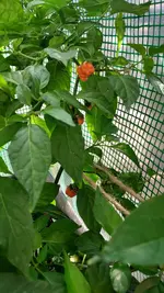 20220626_084813.jpg