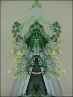 c043.webp