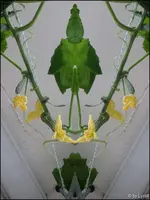 c048.webp