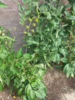 20220626_095557.webp