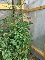 20220626_095607.webp