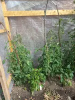 20220626_095206.webp